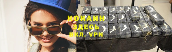 первитин Богородицк