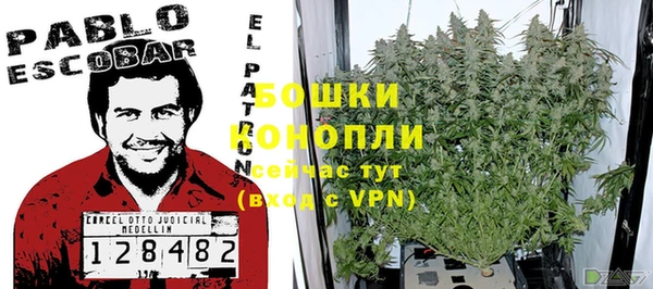 первитин Богородицк