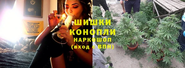 молекула духа Белоозёрский